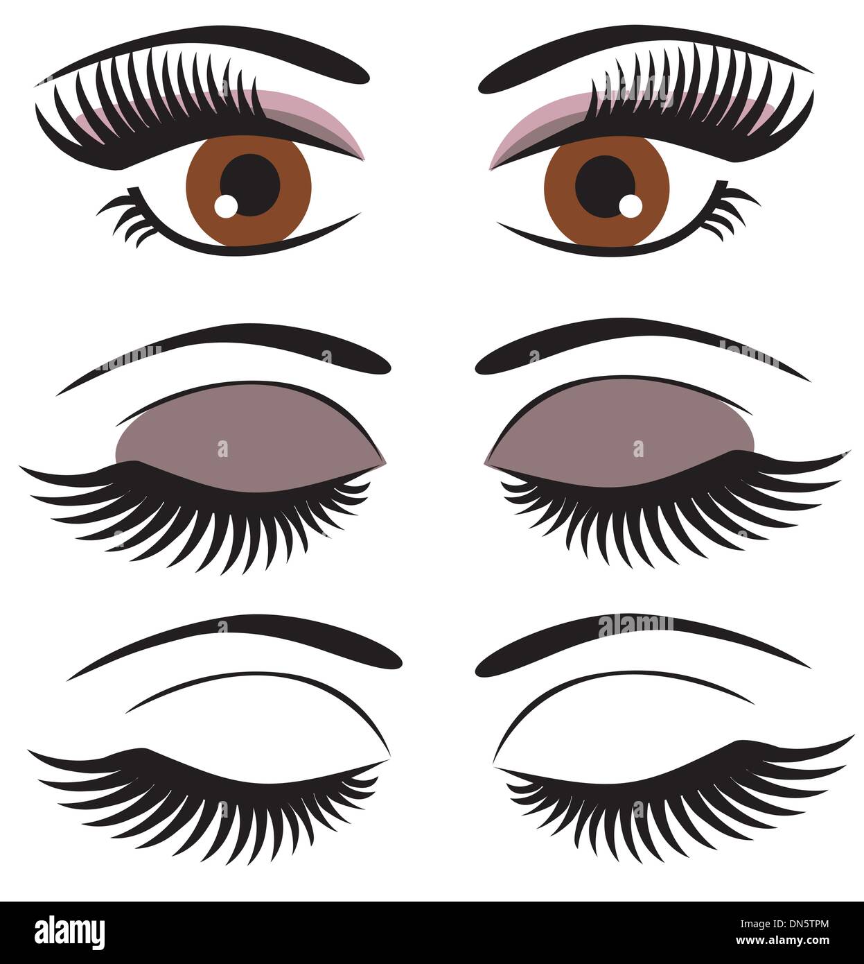 Yeux marrons Banque d'images vectorielles - Alamy