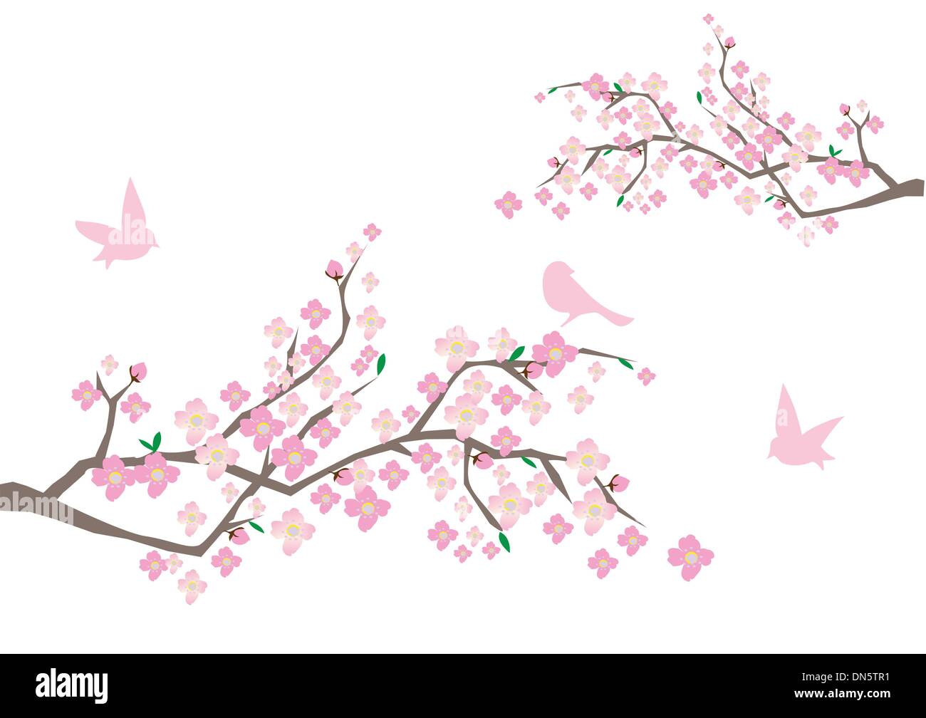 branches de cerisier Illustration de Vecteur