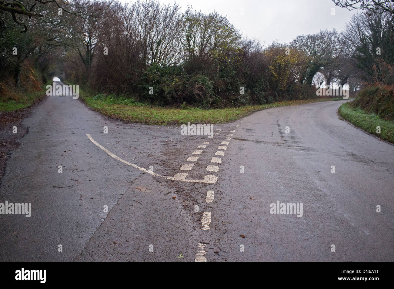 Deux routes divergent dans près de Flushing, Cornwall, UK Banque D'Images