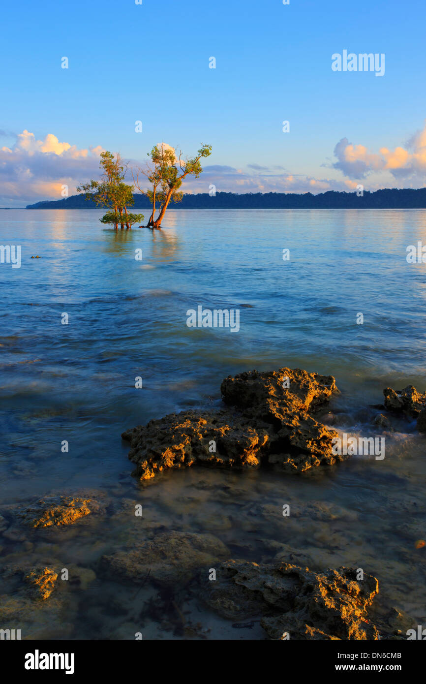 Image tôt le matin de la plage de Vijaynagar à Havelock Island - (Andaman, Inde) Banque D'Images