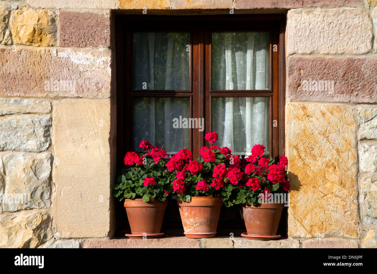 Les pots de fleurs dans la fenêtre d'un immeuble dans le village de Santillana del Mar, Cantabria, Espagne. Banque D'Images