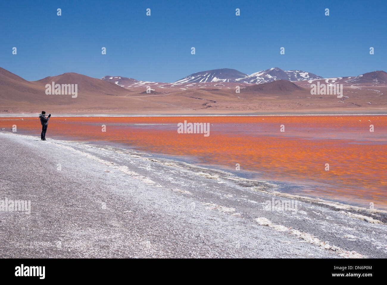 L'homme dans des vêtements d'hiver visiter la Laguna Colorada (lagune) rouge incrustée de dépôts de borax Banque D'Images