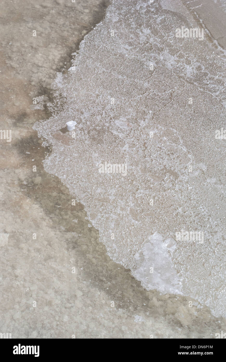 Un cristal de sel nouvellement formé est visible sur une fine couche de sel dans l'eau peu profonde, Salar de Uyuni, Bolivie, Amérique du Sud Banque D'Images