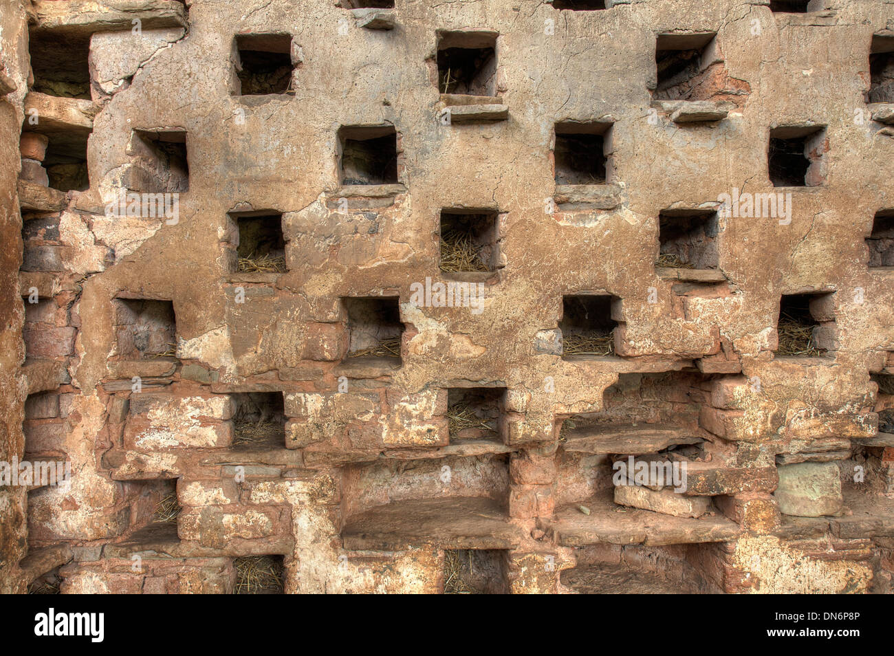 Trous dans un nid pigeonnier Worcestershire, Angleterre. Banque D'Images