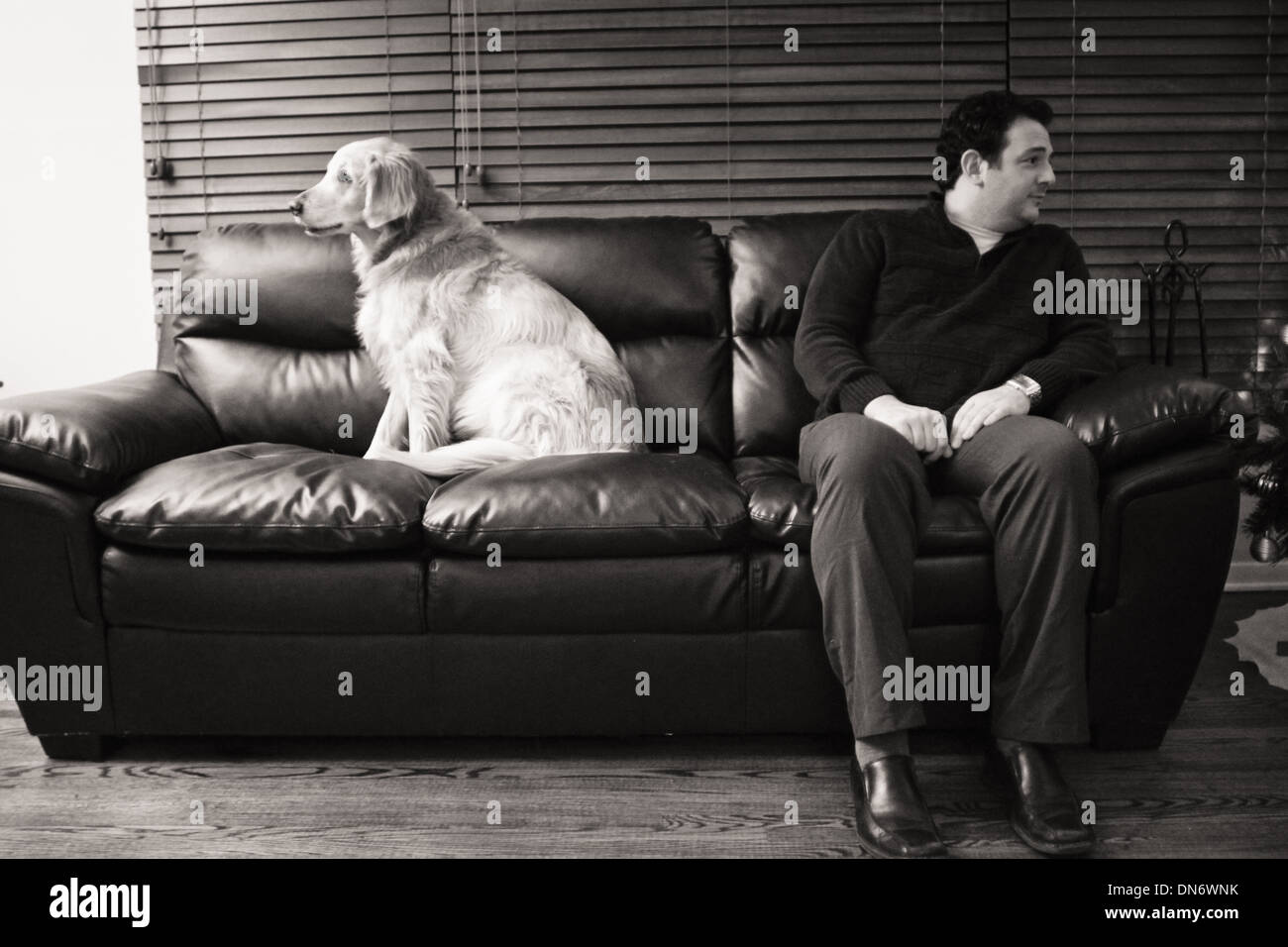 Un chien et son maître assis sur le canapé. Banque D'Images