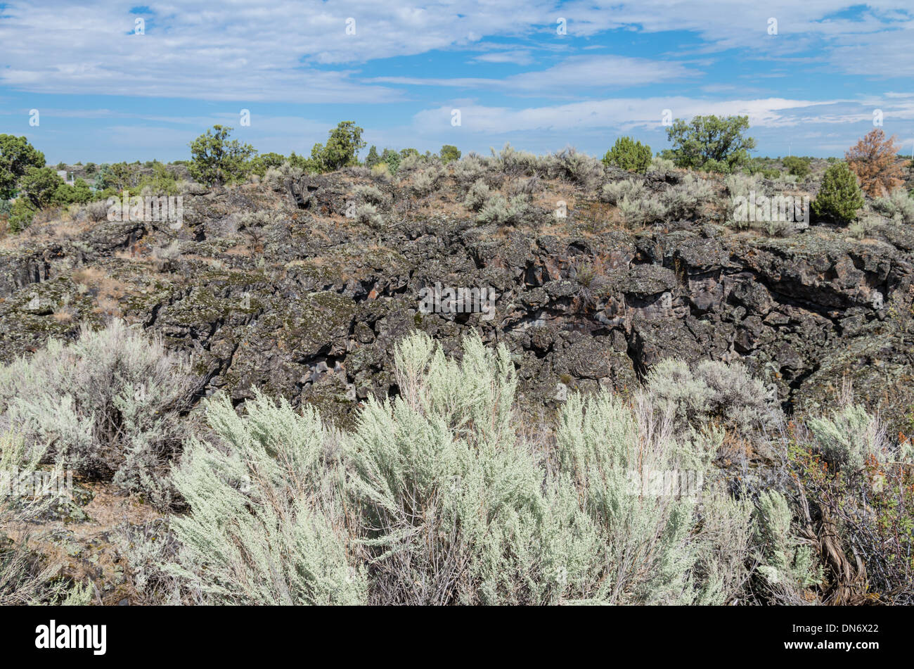 Coulée de la formation d'un champ de roche ancienne activité volcanique. New York, United States Banque D'Images