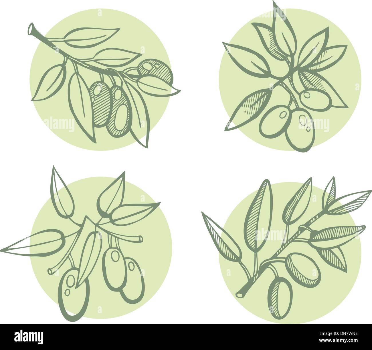 Ensemble Olives dessin Illustration de Vecteur