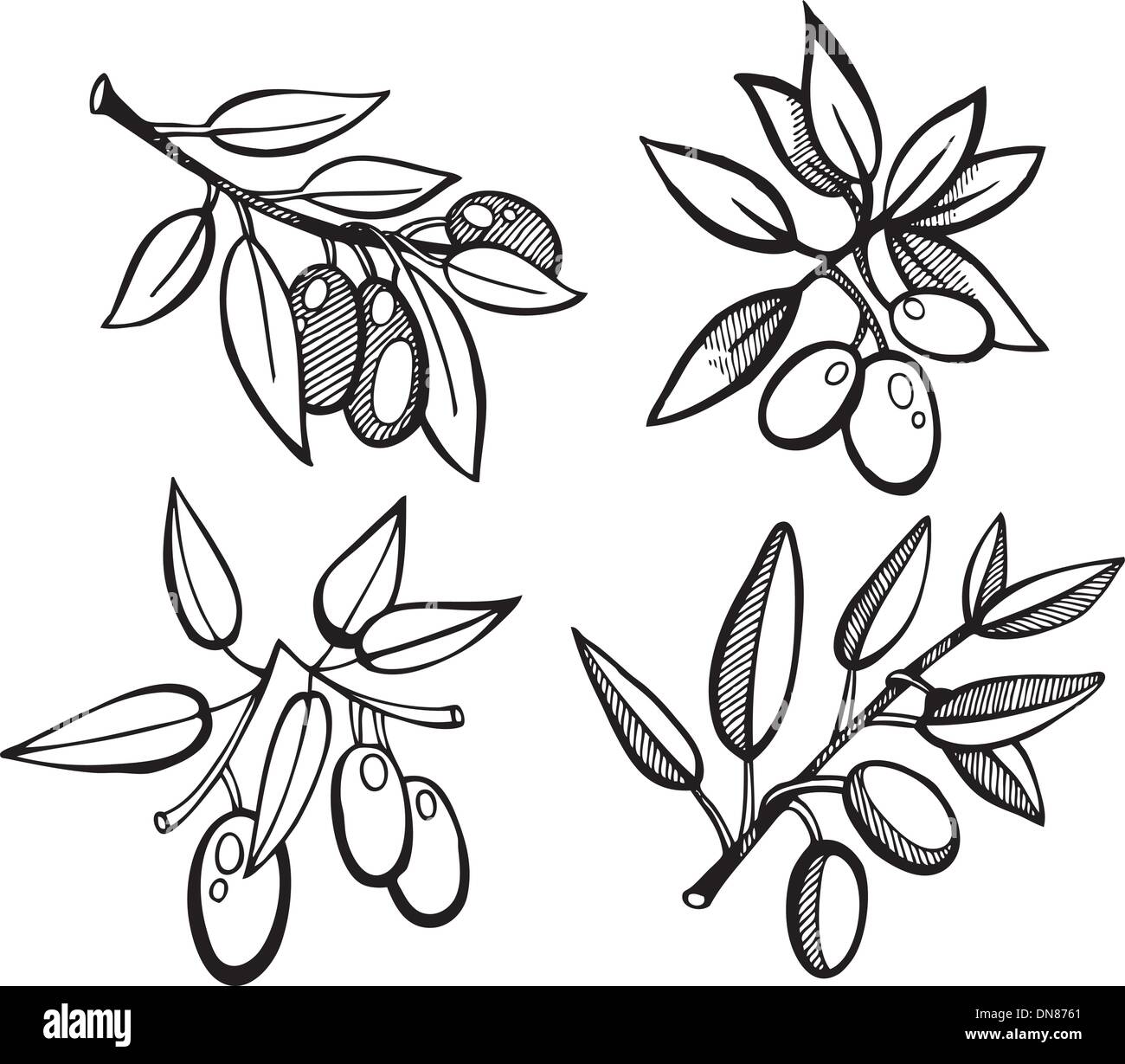 Ensemble Olives dessin Illustration de Vecteur