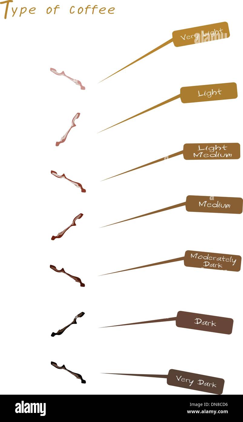 Les différentes couleurs de café torréfié Illustration de Vecteur