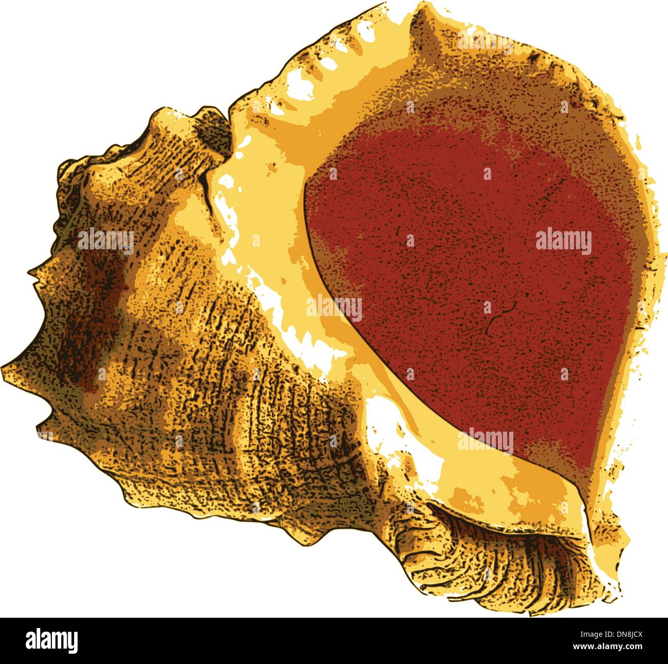 coquille de mer Illustration de Vecteur