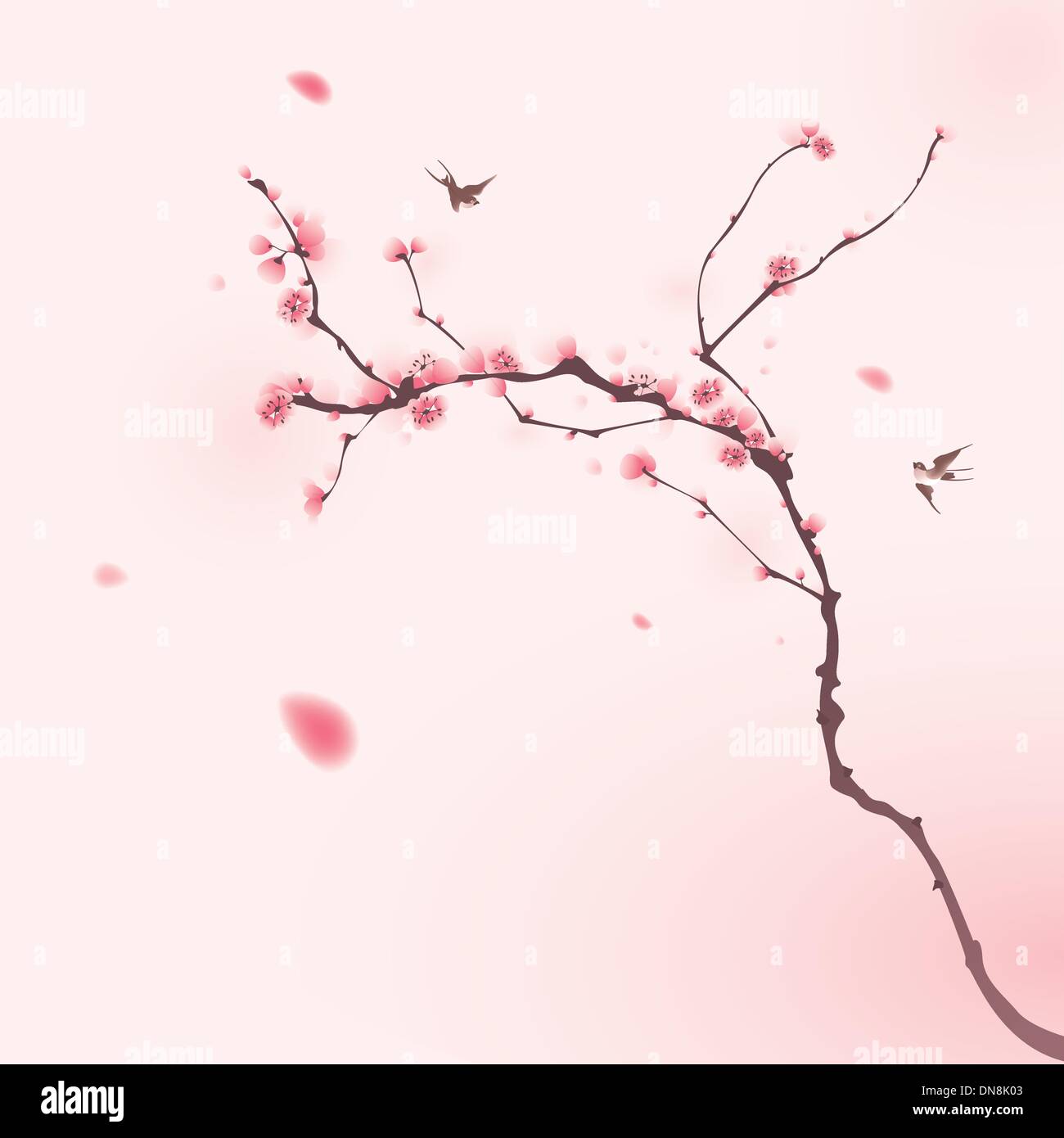 La peinture de style oriental, fleur de cerisier au printemps Illustration de Vecteur