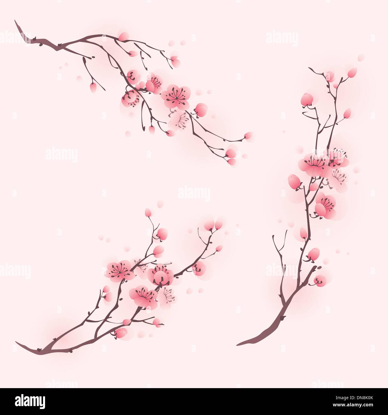 La peinture de style oriental, fleur de cerisier au printemps Illustration de Vecteur