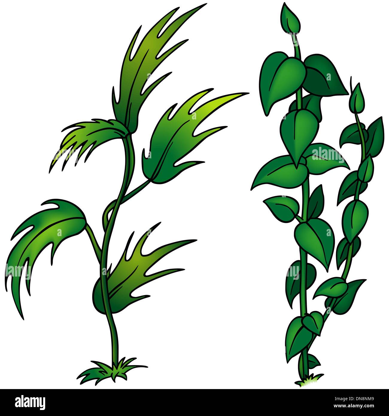 Plantes Illustration de Vecteur