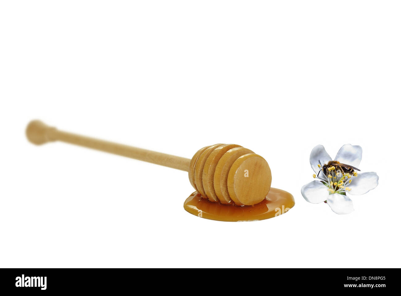 Drizzler miel en bois sur fond blanc Banque D'Images