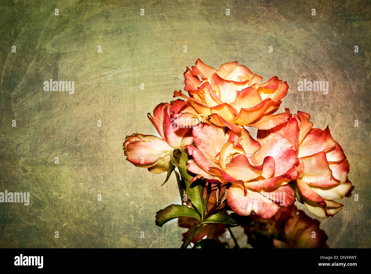 Les fleurs avec la texture Banque D'Images