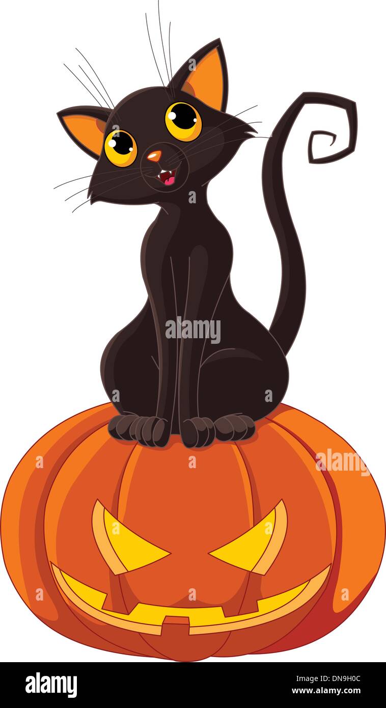 Citrouille Halloween Chat sur Illustration de Vecteur