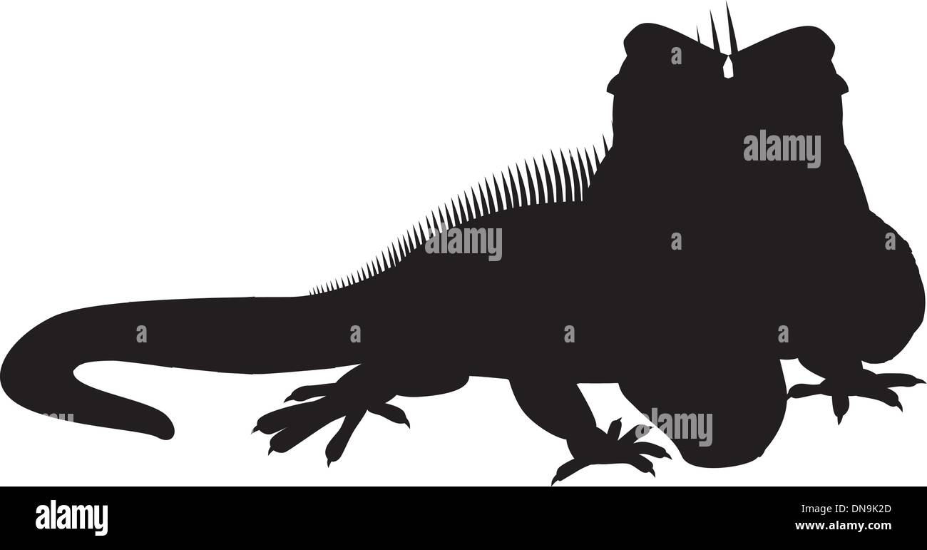 Silhouette de l'iguane Illustration de Vecteur