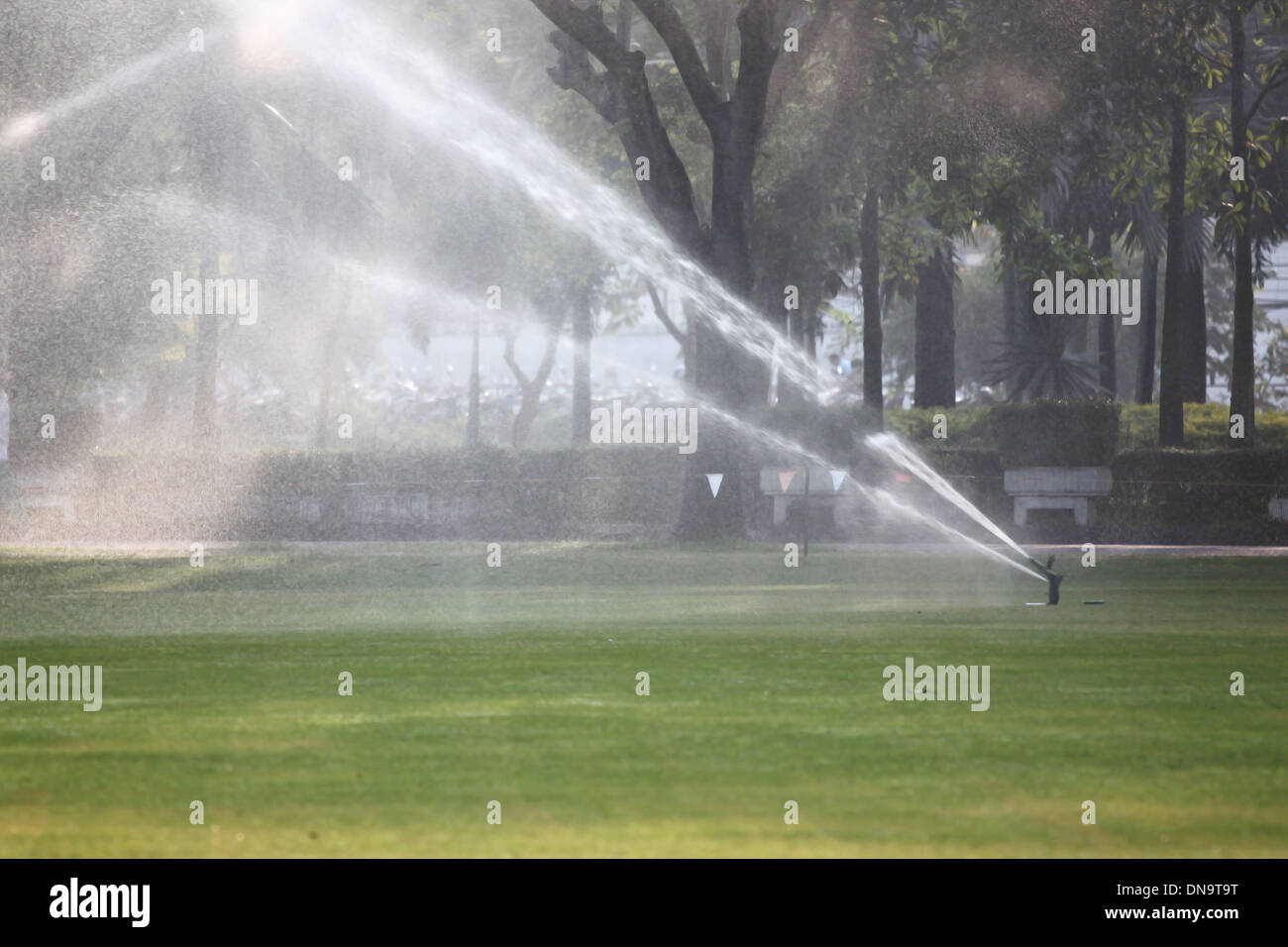 L'arrosage en matinée au Parc. Banque D'Images