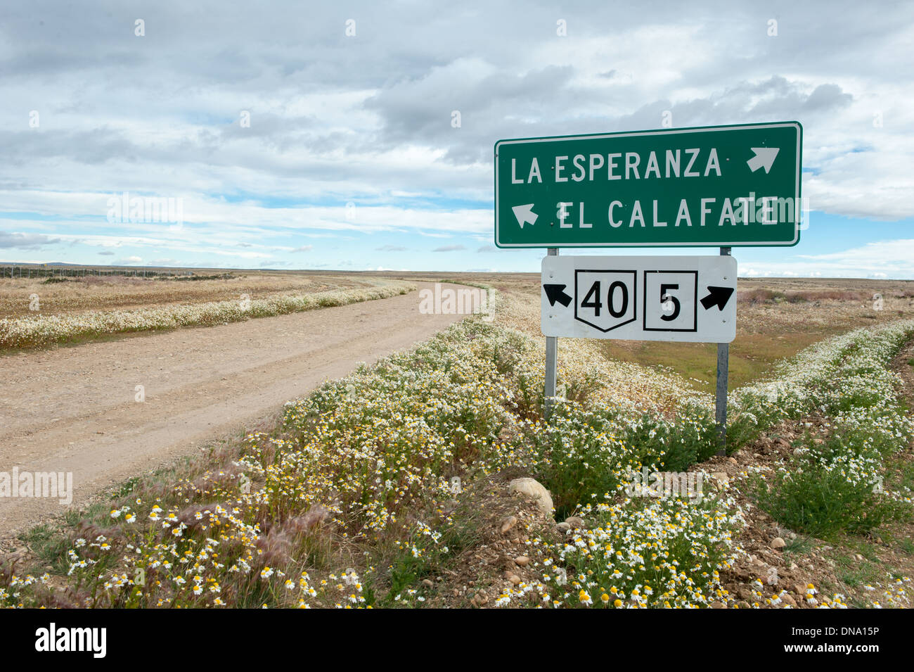 Ruta 40 (route 40) signe de route dans le sud de l'Argentine Banque D'Images