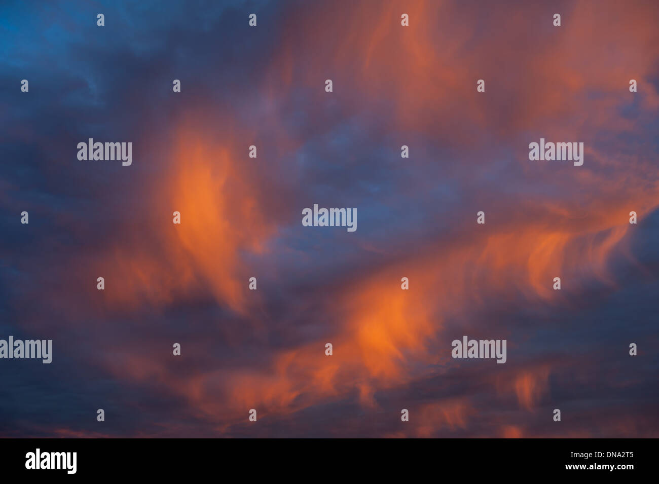 Voyant orange sur les cirrus et ciel bleu Banque D'Images