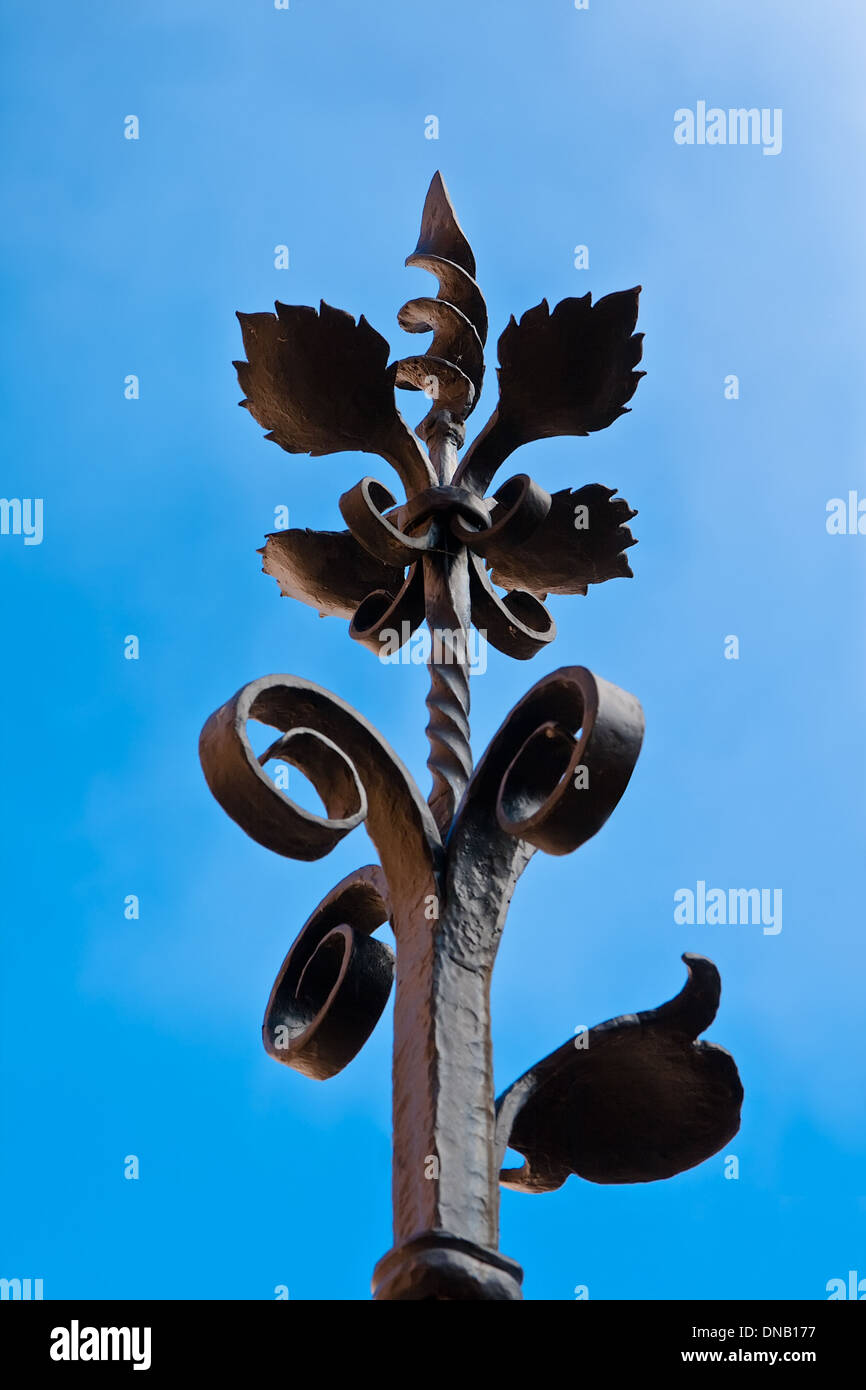 Clôtures de l'élément métal, fleur de pointe Banque D'Images