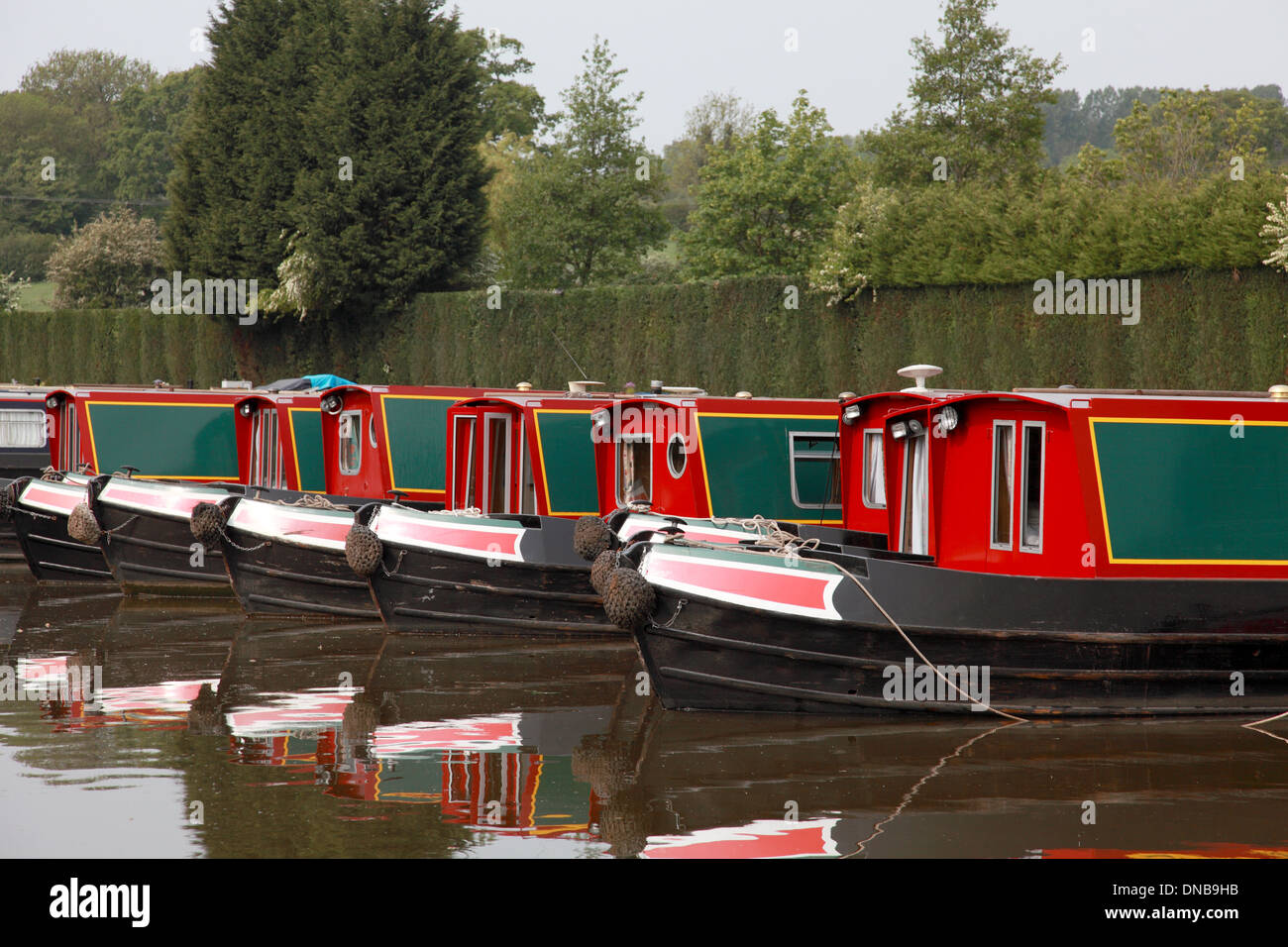 Narrowboats amarré à Alvechurch Marina sur la Canal de Worcester et Birmingham Banque D'Images