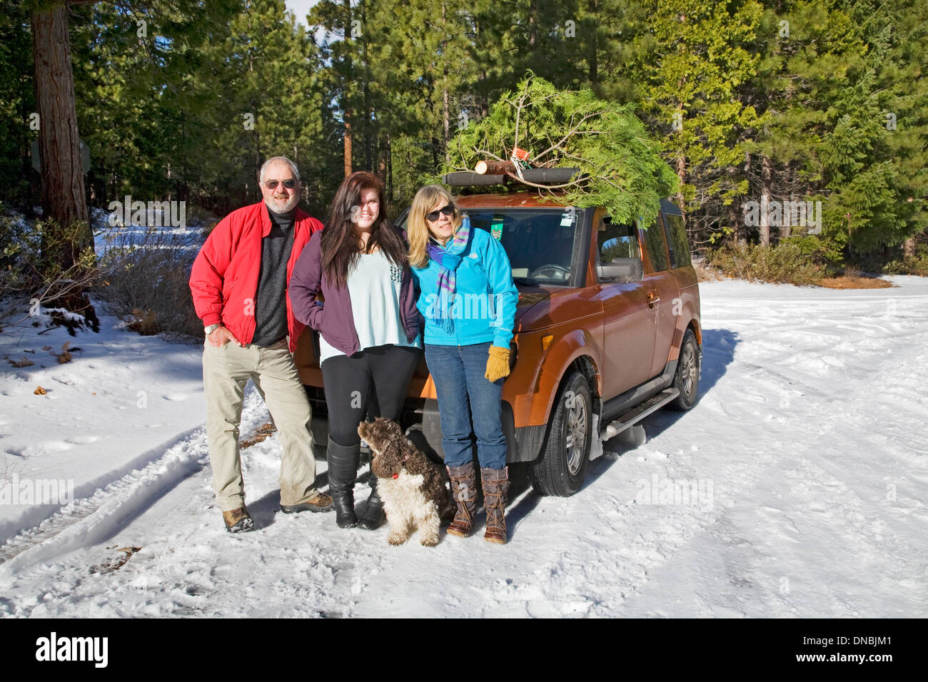 Une famille américaine de couper un arbre de Noël dans une forêt de l'Oregon. Banque D'Images