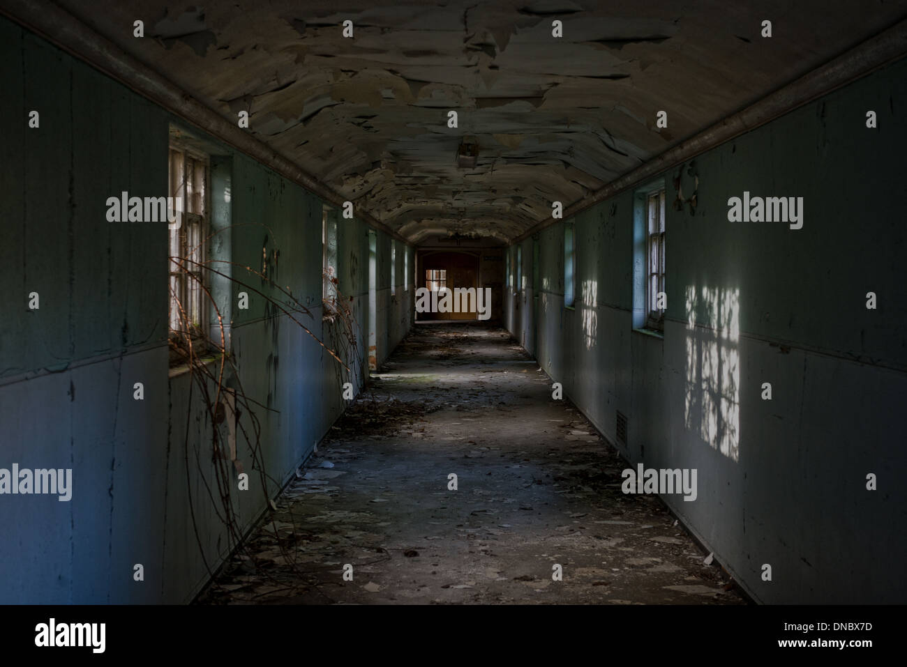 La maintenant fermée et les apparaux de Severalls Hospital Mental, Colchester. Ce fameux lunatic asylum est maintenant en attente de réaménagement. Banque D'Images