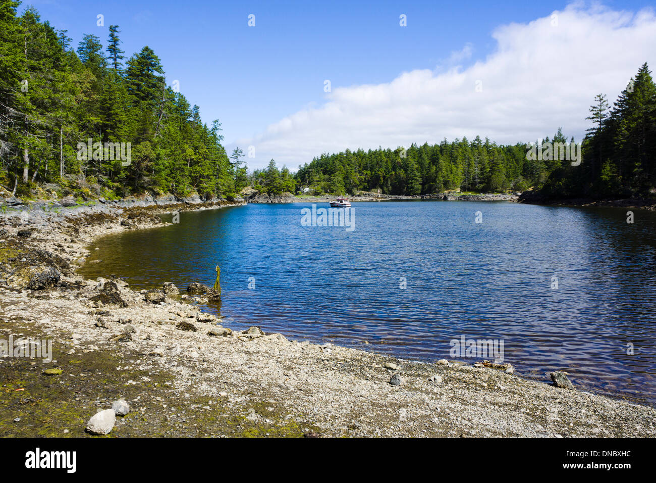 Smuggler Cove Marine Provincial Park, Sunshine Coast, British Columbia, Canada Banque D'Images