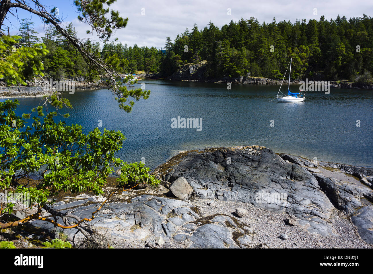 Smuggler Cove Marine Provincial Park, Sunshine Coast, British Columbia, Canada Banque D'Images