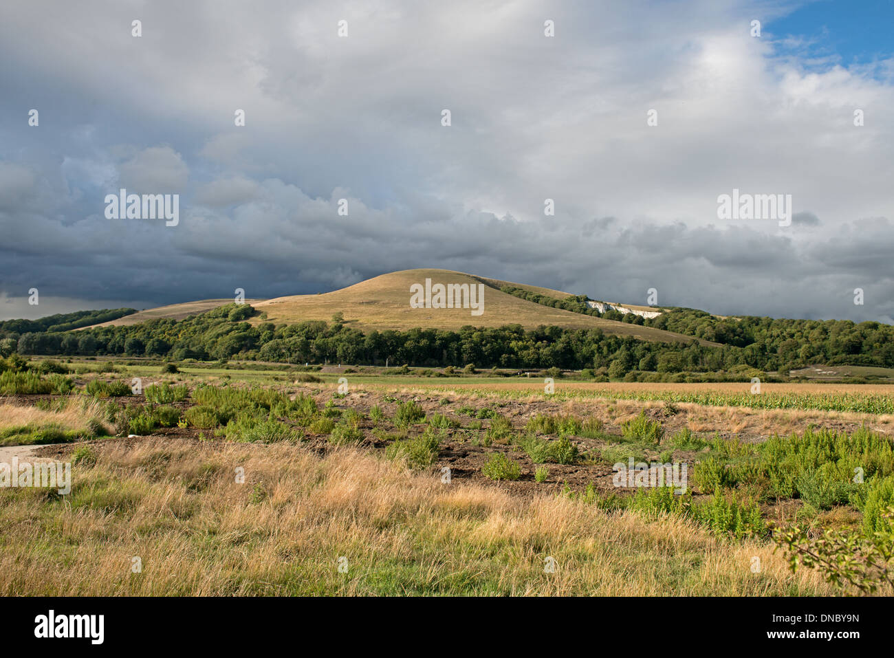 Mont Caburn Near Lewes sur les South Downs, East Sussex, England, UK Banque D'Images