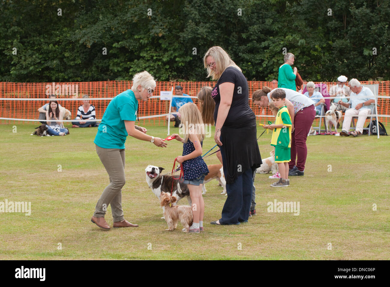 Un premier prix d'une Rosette Rouge par le juge. Classe Jeune participant. Fête du village exposition canine. Le Norfolk. L'Angleterre. Banque D'Images