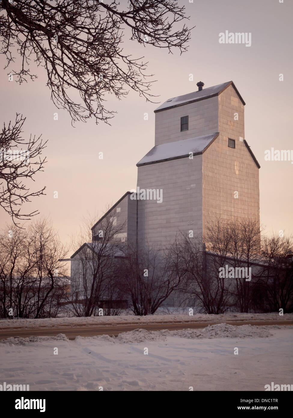 Un élévateur à grains à l'Université de la Saskatchewan à Saskatoon, Saskatchewan, Canada. Banque D'Images