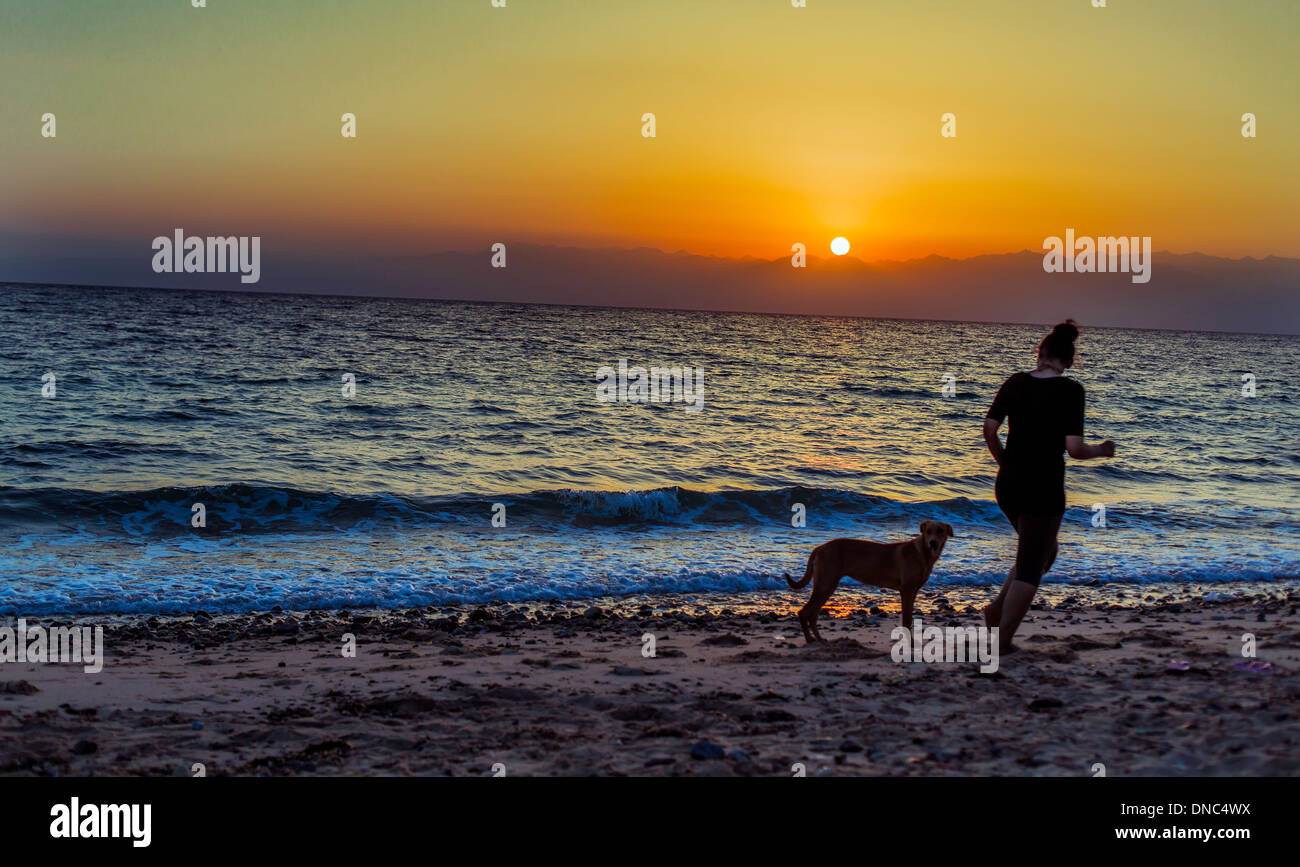 Legypte Marsa Alam Girl Dog Beach Port Coucher Du Soleil