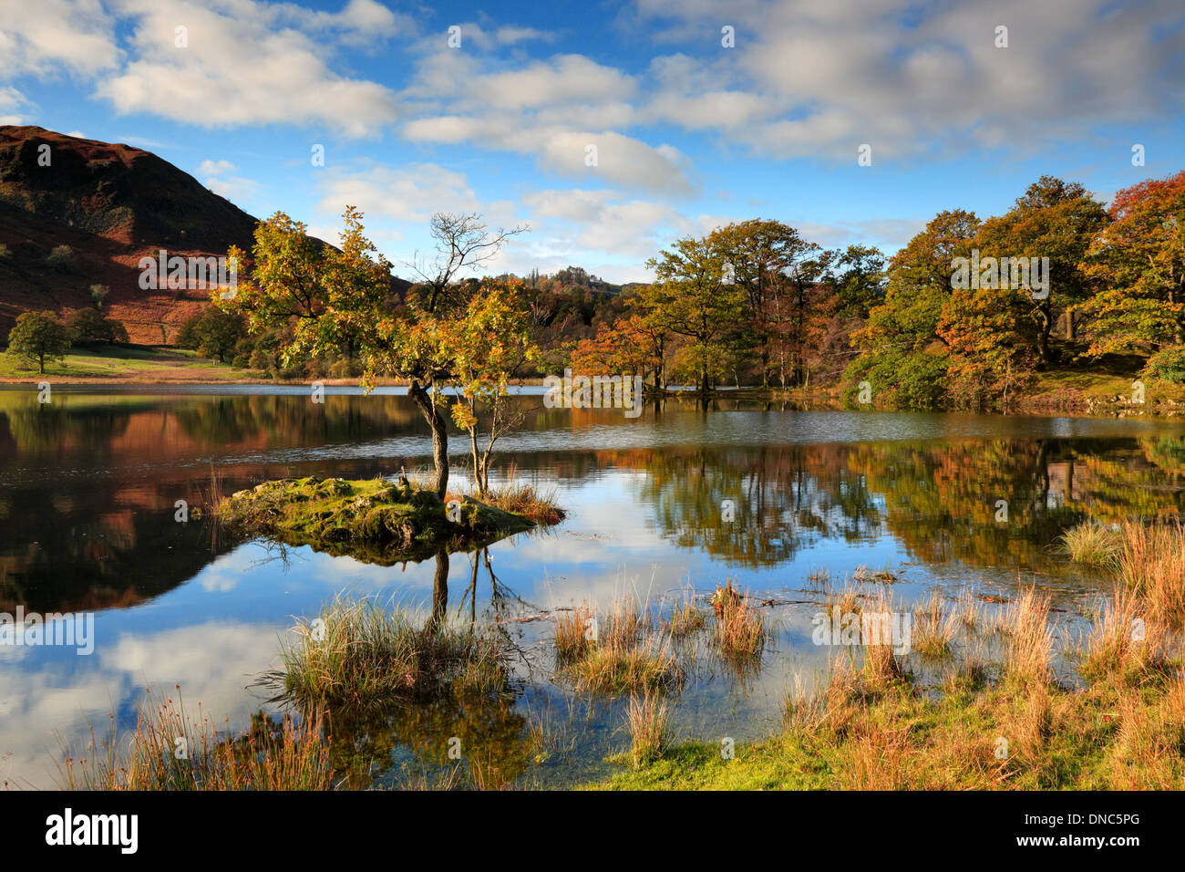 L'automne à Rydal Water dans la région de Parc National de Lake District, Cumbria, Angleterre Banque D'Images