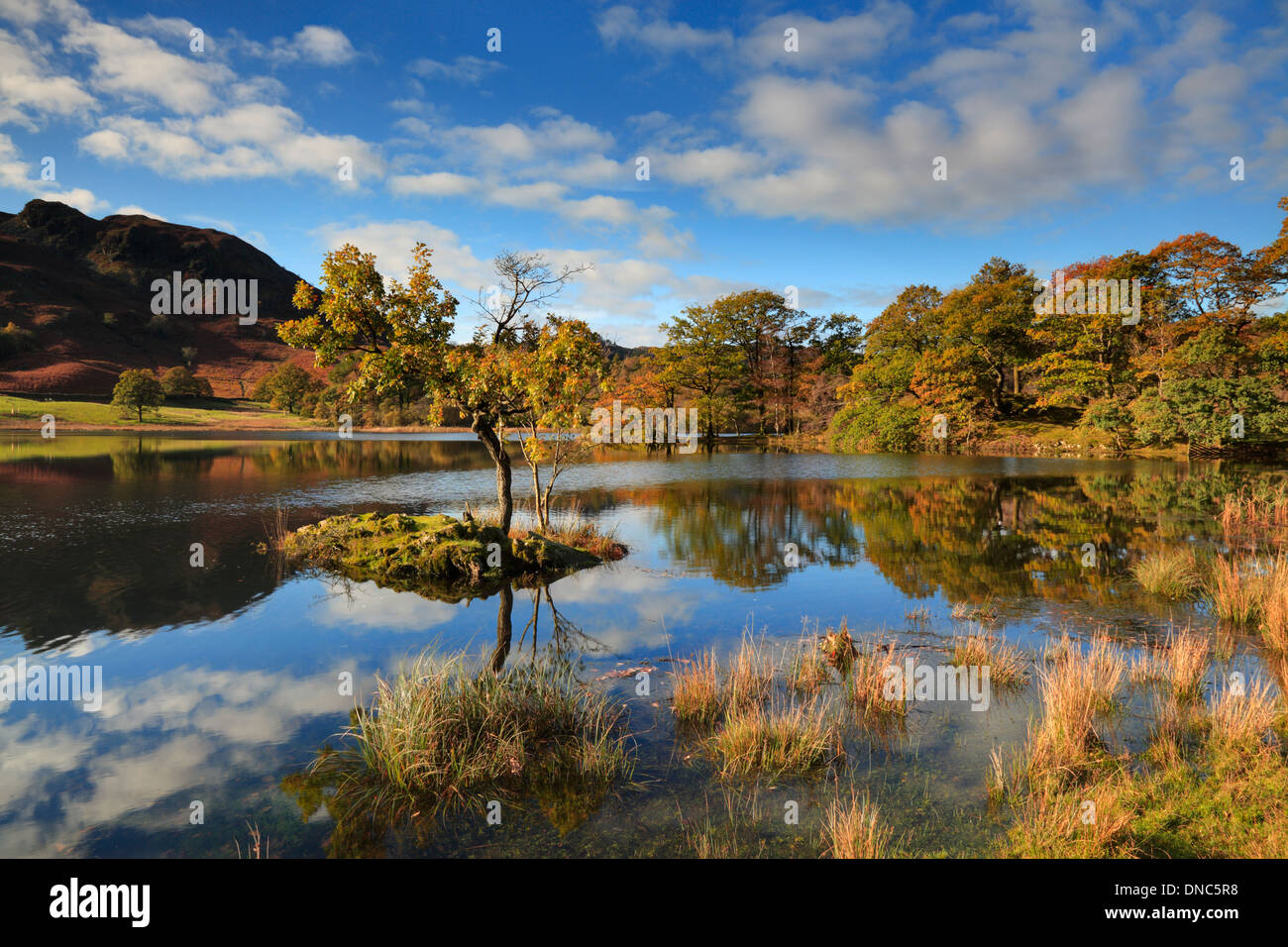 L'automne à Rydal Water dans la région de Parc National de Lake District, Cumbria, Angleterre Banque D'Images