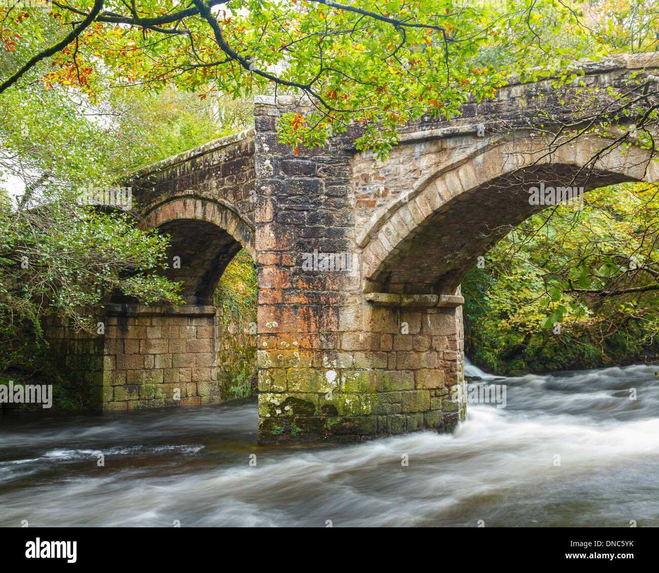 Pont historique de la rivière Dart à Newbridge Dartmoor National Park Europe Royaume-Uni Angleterre Devon Banque D'Images