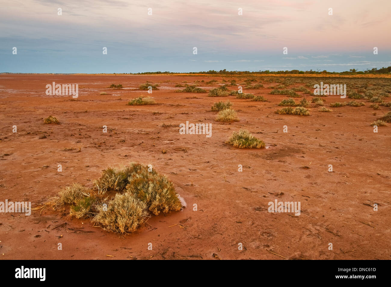 Lac de claypan sec Ballard au crépuscule. Banque D'Images
