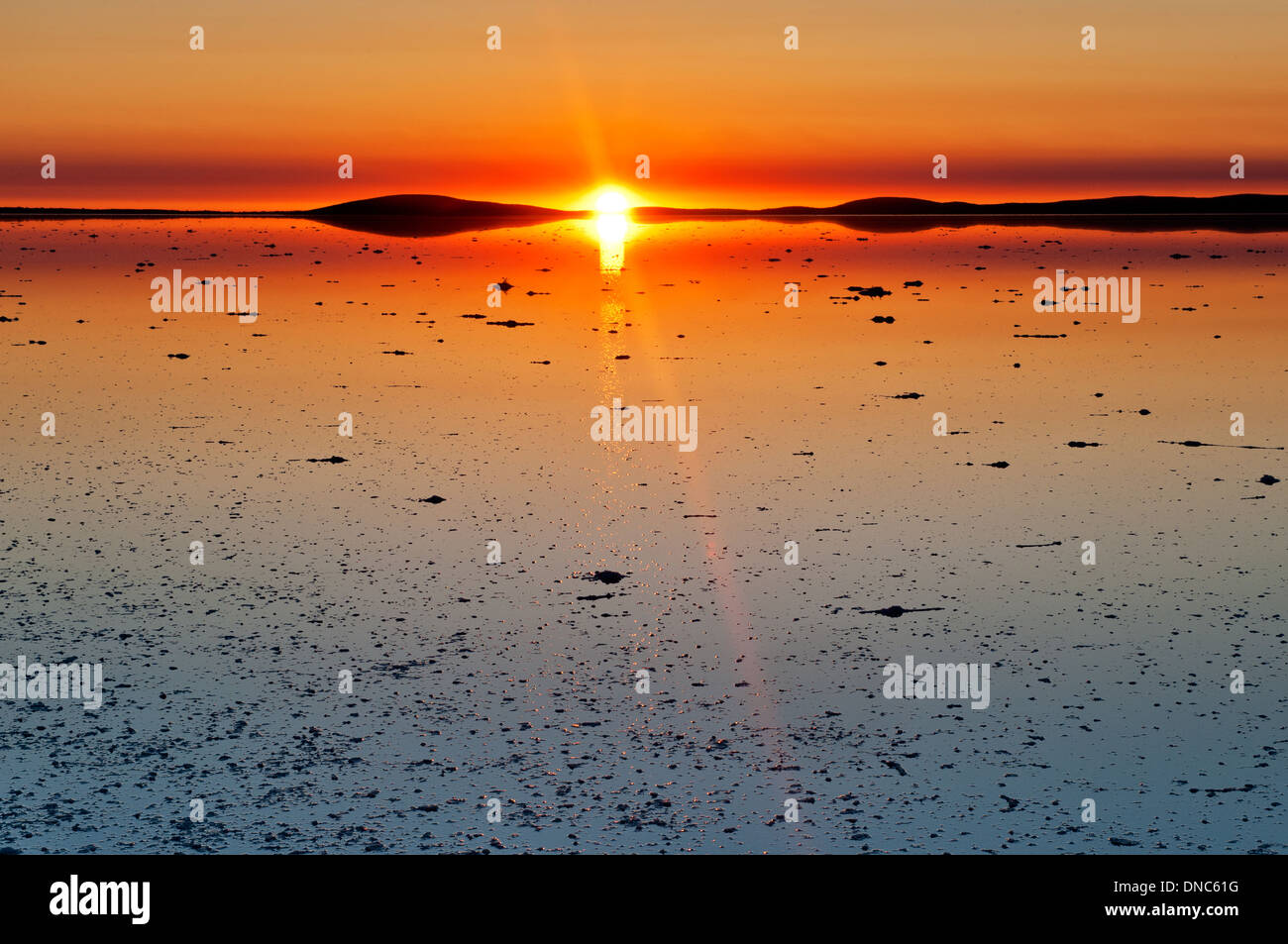 Lever du soleil au lac Gairdner inondé sur la péninsule d'Eyre. Banque D'Images