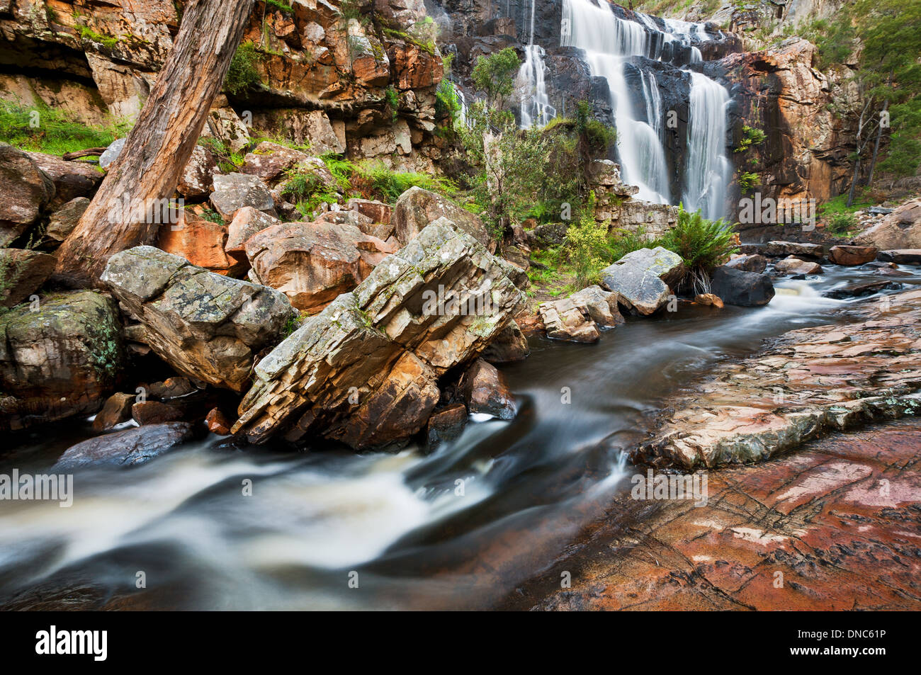 McKenzie Falls dans le Parc National des Grampians. Banque D'Images