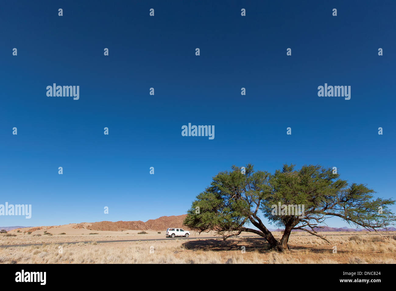 Paysage désertique en Namibie, Afrique Banque D'Images