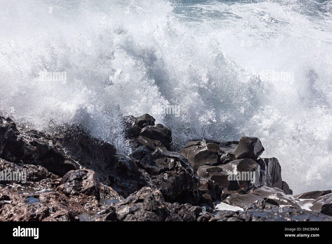 Vagues se brisant sur les roches volcaniques, Playa de Janubio, Lanzarote, îles Canaries, Espagne Banque D'Images