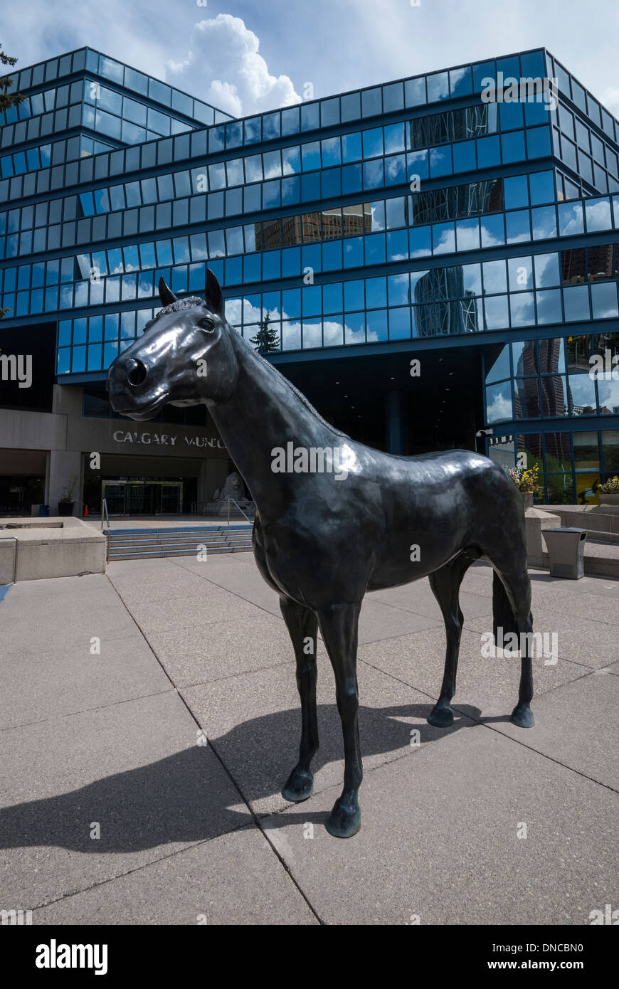 Un étalon donnant sur la terrasse à l'Alberta Calgary moderne bâtiment municipal de la ville Banque D'Images