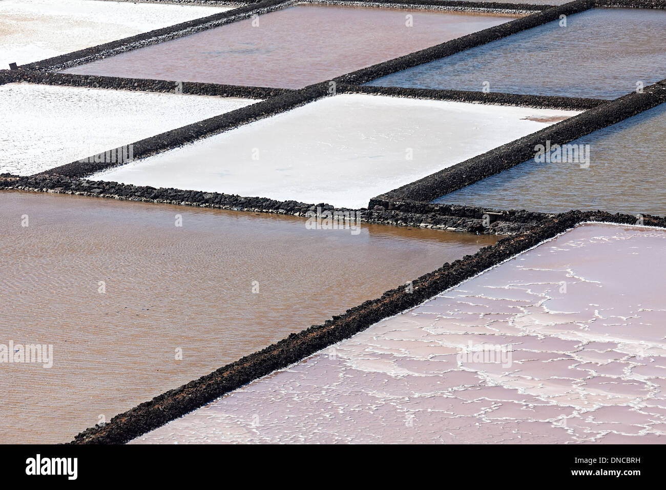 Les marais salants à Salinas de Janubio, Lanzarote, îles Canaries, Espagne Banque D'Images
