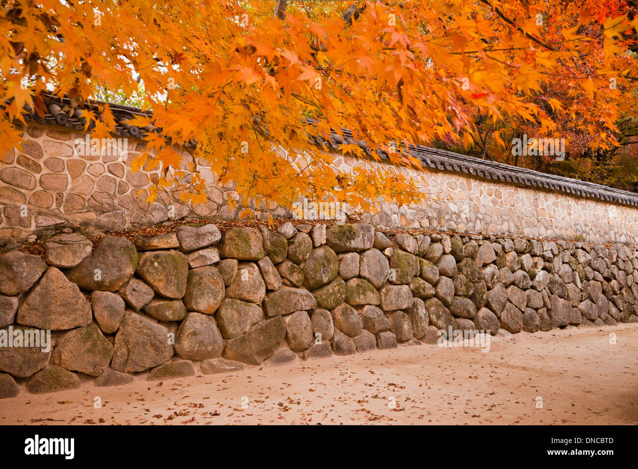 Mur de pierre clôture dans le style Hanok traditionnels - Gyeongju, Corée du Sud Banque D'Images