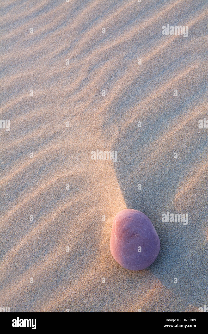 Un caillou rose sur la plage de Rhossili, Gower. Le soleil couchant ombres sur le sable ondulée. Banque D'Images