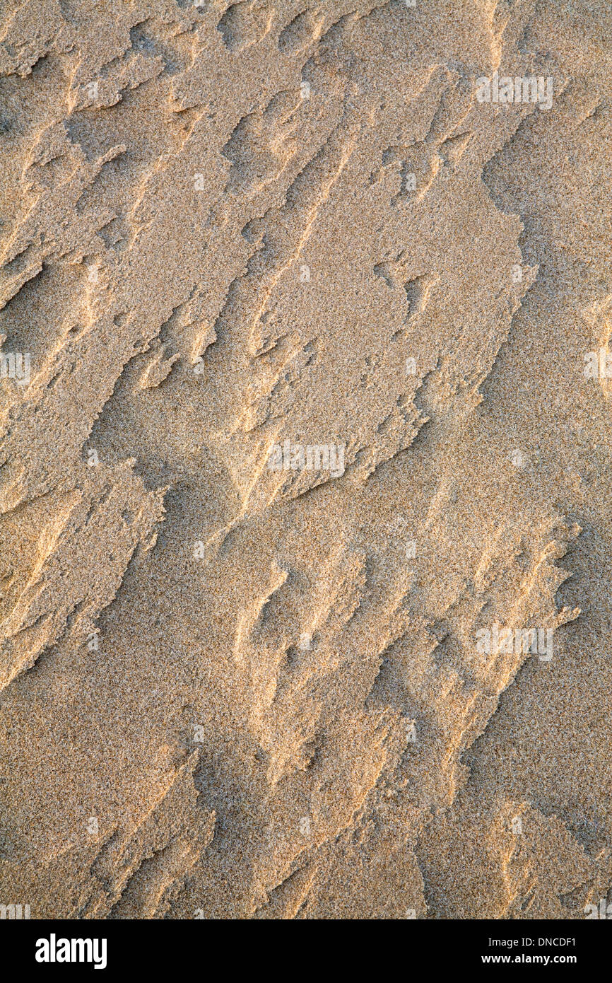 Un modèle dans le sable sculptés par le vent et accentuée par le coucher du soleil sur la plage de Rhossili, la péninsule de Gower. Banque D'Images