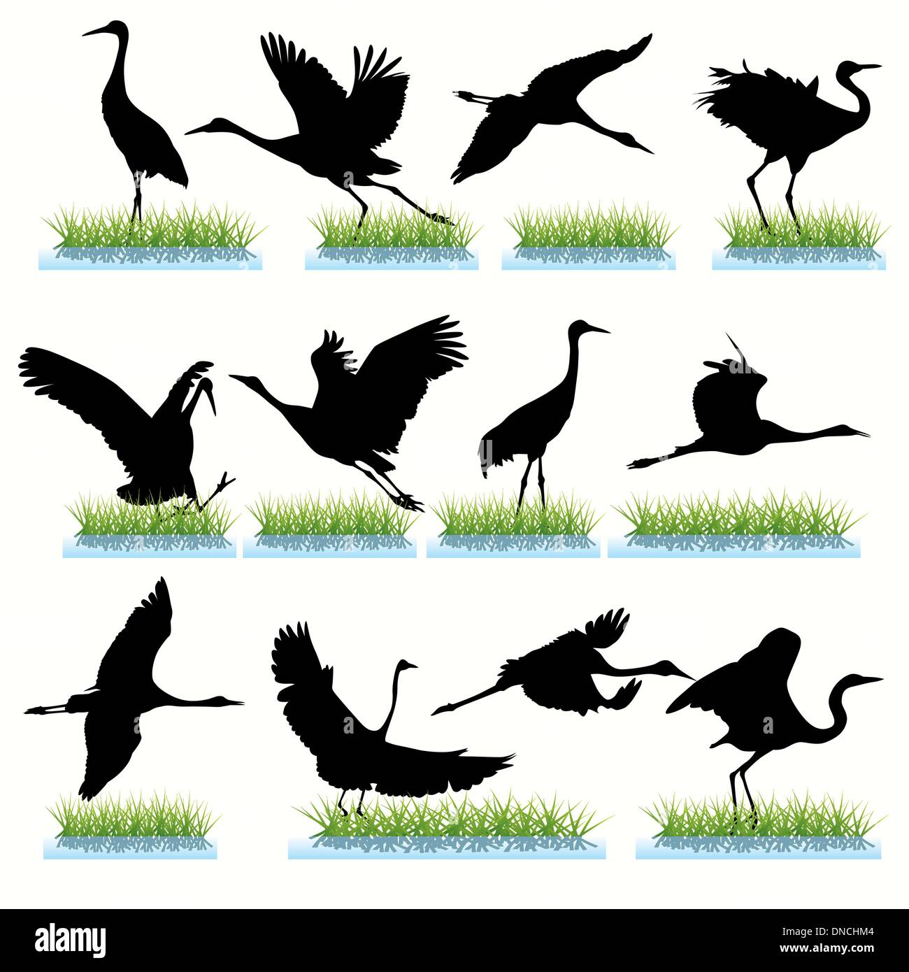 Jeu de silhouettes de grues Illustration de Vecteur