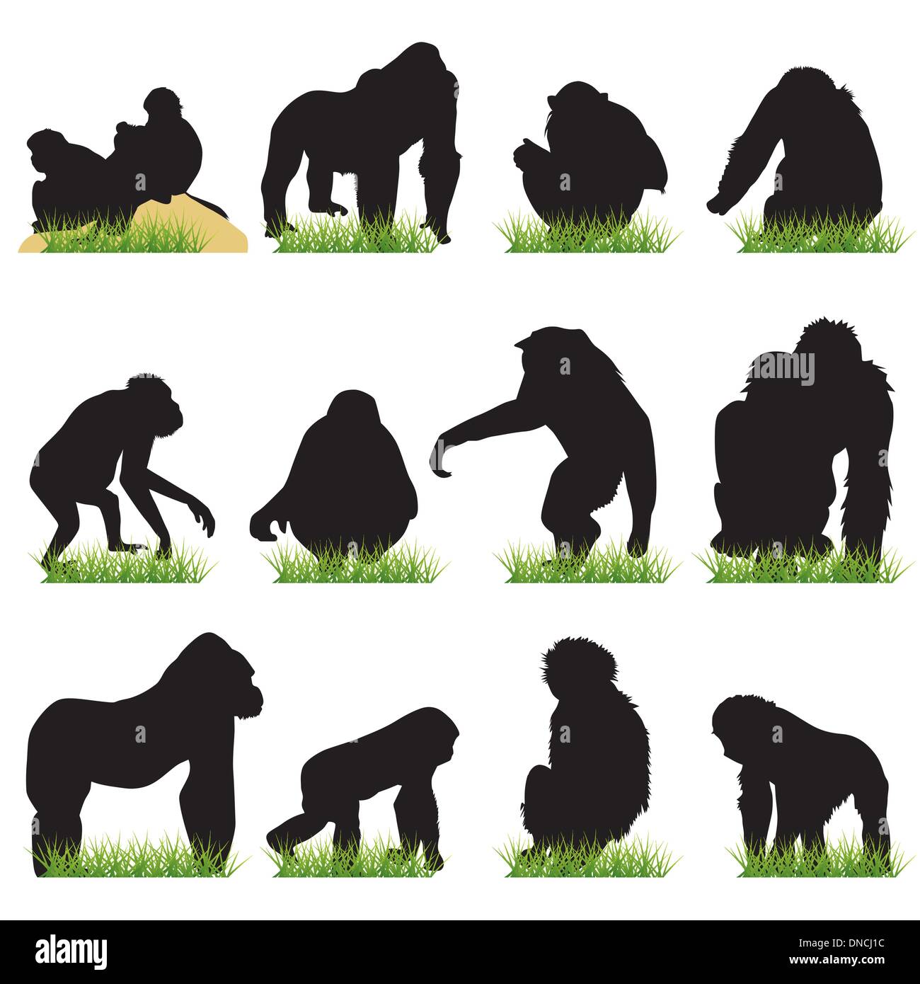 Jeu de silhouettes des singes Illustration de Vecteur