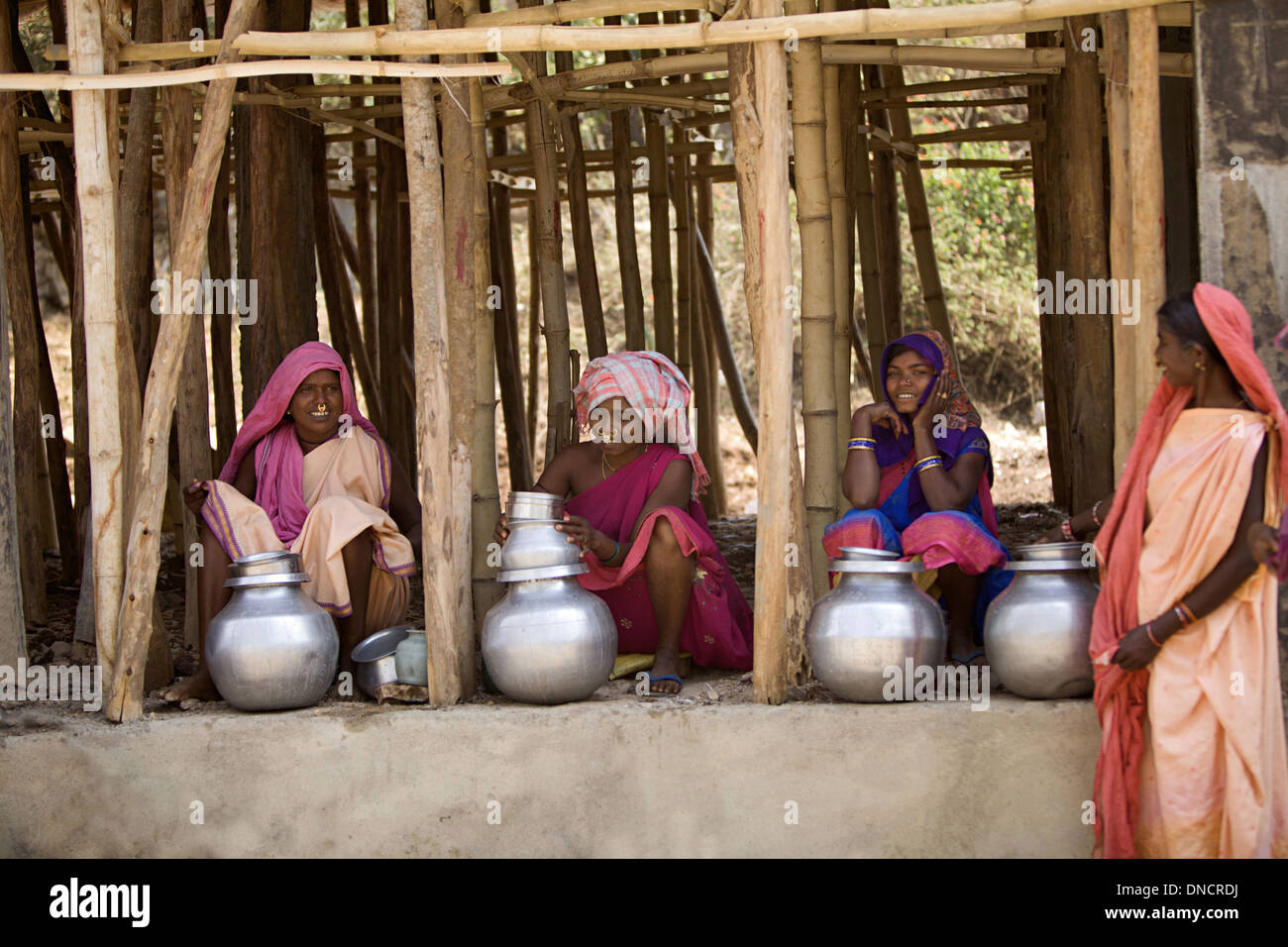 Les femmes tribales mahua vente (countrymade liquor), Orissa, Inde Banque D'Images